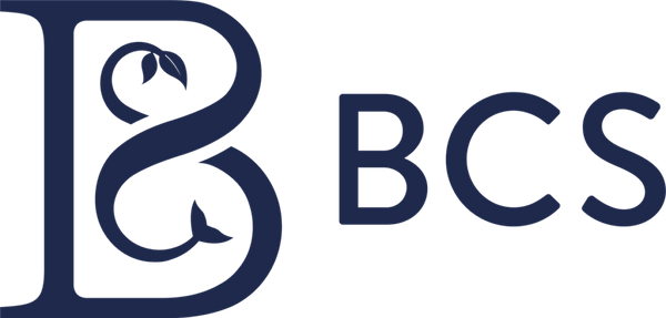 BCS-Primary-Logo_RGB_Navy-1024x491.png